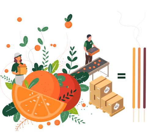 Illustration: fruit-pulp upcycling — biomass through to finished Sagrada Madre sticks
