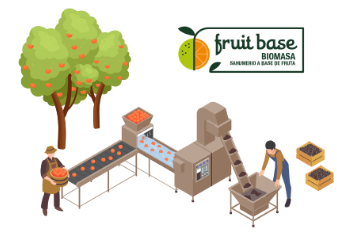 Isometric graphic: from orchard and fruit into first biomass processing and Fruit Base branding.