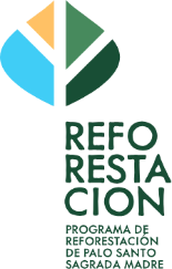 Sagrada Madre Palo Santo reforestation programme