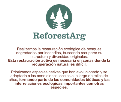 ReforestArg — reforestation partner logo