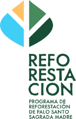 Palo Santo reforestation programme — Sagrada Madre