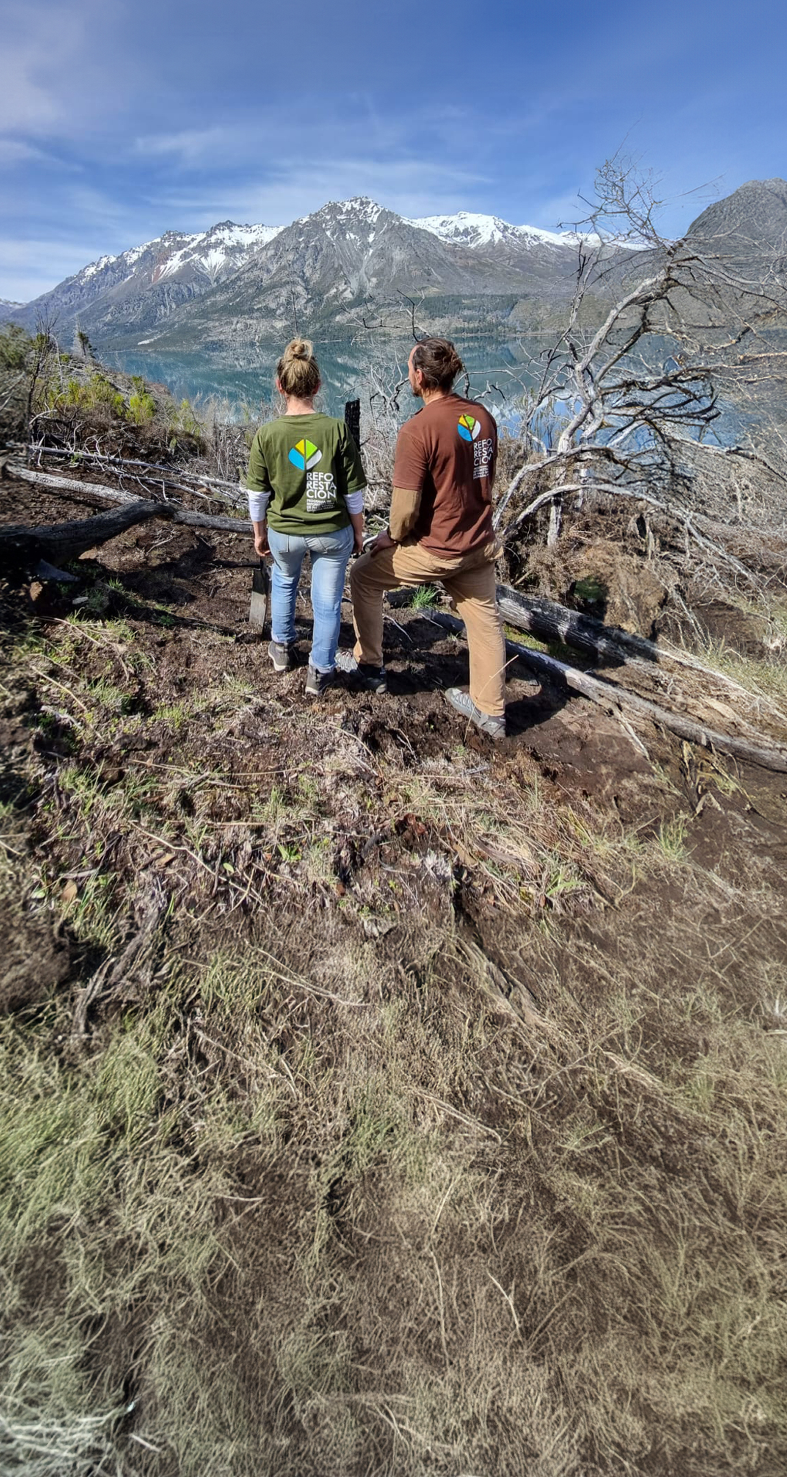 Photo collage of ecological forest restoration work in the field.